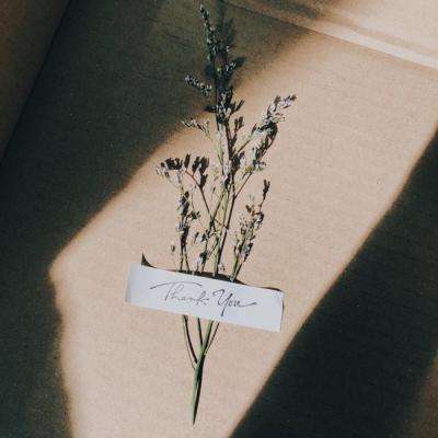 贝博app代言艾弗森手机app下载